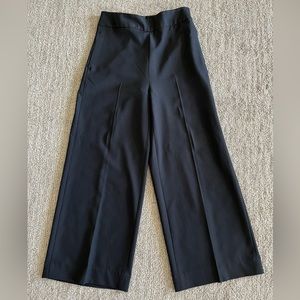 Banana Republic Wide-leg Pants (NWOT)